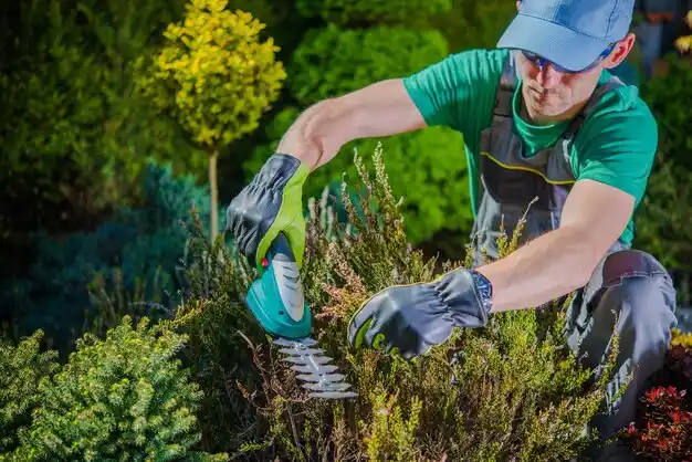landscaping services Bardstown